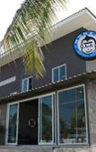 Туры в отель Monkey Samui Hostel Туры в отель Monkey Samui Hostel