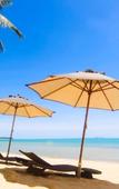 Туры в отель Monkey Samui Hostel Туры в отель Monkey Samui Hostel