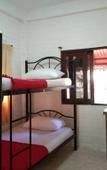 Туры в отель Monkey Samui Hostel Туры в отель Monkey Samui Hostel