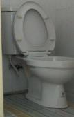 Туры в отель Monkey Samui Hostel Туры в отель Monkey Samui Hostel