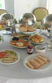 Туры в отель Las Gaviotas Hotel & Suites Туры в отель Las Gaviotas Hotel & Suites