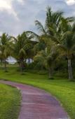 Туры в отель Las Gaviotas Hotel & Suites Туры в отель Las Gaviotas Hotel & Suites