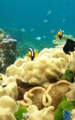 Туры в отель Lanta Just Come Туры в отель Lanta Just Come