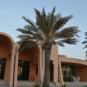Туры в отель Golden Tulip Al Jazira Hotel & Resort, оператор Anex Tour