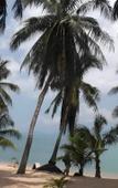 Туры в отель Palm Point Village Туры в отель Palm Point Village