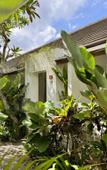 Туры в отель Lubdhaka Canggu Residence Туры в отель Lubdhaka Canggu Residence