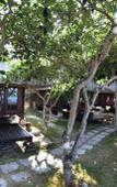 Туры в отель Отель Koh Ngai Thanya Beach Resort Туры в отель Отель Koh Ngai Thanya Beach Resort