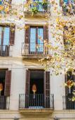 Туры в отель ZOOROOMS Boutique GuestHouse Туры в отель ZOOROOMS Boutique GuestHouse
