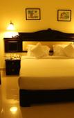 Туры в отель Hotel Airlink Castle Туры в отель Hotel Airlink Castle