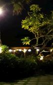 Туры в отель Puri Pandan Restaurant & Bungalows Туры в отель Puri Pandan Restaurant & Bungalows