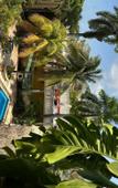Туры в отель Hotel Plaza Caribe Туры в отель Hotel Plaza Caribe