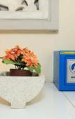 Туры в отель Villa Agung Beach Inn Туры в отель Villa Agung Beach Inn