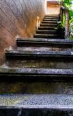 Туры в отель Bali Asli Lodge by EPS Туры в отель Bali Asli Lodge by EPS