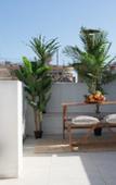 Туры в отель Cosy Rooms Embajador Туры в отель Cosy Rooms Embajador