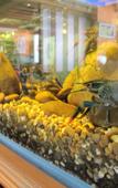 Туры в отель Bourbon St Boutique Hotel Туры в отель Bourbon St Boutique Hotel