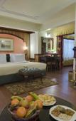 Туры в отель MAYFAIR Darjeeling Туры в отель MAYFAIR Darjeeling
