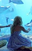Туры в отель The Royal at Atlantis Туры в отель The Royal at Atlantis