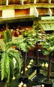 Туры в отель Sahara Star Туры в отель Sahara Star