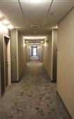 Туры в отель Courtyard by Marriott Orlando East/UCF Area Туры в отель Courtyard by Marriott Orlando East/UCF Area