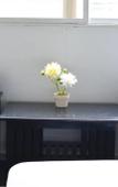 Туры в отель River View Residence Туры в отель River View Residence