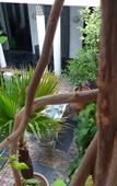 Туры в отель Riad Tchina Туры в отель Riad Tchina