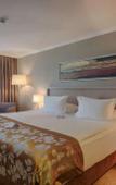 Туры в отель Ramada Plaza by Wyndham Kahramanmaras Туры в отель Ramada Plaza by Wyndham Kahramanmaras