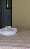Туры в отель Khaolak Summer House Resort Туры в отель Khaolak Summer House Resort