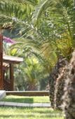 Туры в отель Blue Dolphin Hotel Туры в отель Blue Dolphin Hotel