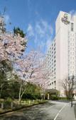 Туры в отель The Prince Sakura Tower Tokyo, Autograph Collection Туры в отель The Prince Sakura Tower Tokyo, Autograph Collection