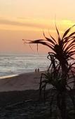 Туры в отель Sejuk Beach Villas Туры в отель Sejuk Beach Villas