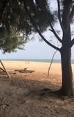 Туры в отель Ho Tram Beach Boutique Resort & Spa Туры в отель Ho Tram Beach Boutique Resort & Spa