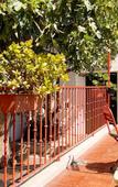 Туры в отель Casa do Bairro by Shiadu Туры в отель Casa do Bairro by Shiadu
