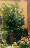 Туры в отель 3749 Ponte Chiodo Guest House Туры в отель 3749 Ponte Chiodo Guest House