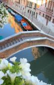Туры в отель 3749 Ponte Chiodo Guest House Туры в отель 3749 Ponte Chiodo Guest House