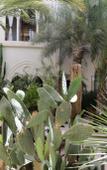 Туры в отель Palais Khum Туры в отель Palais Khum