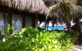 Туры в отель Orchid House Tulum Beach Туры в отель Orchid House Tulum Beach