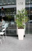 Туры в отель Arton Boutique Hotel Туры в отель Arton Boutique Hotel