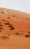 Туры в отель Sand Delight Desert Camp Туры в отель Sand Delight Desert Camp