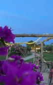 Туры в отель Eco Beach and Magic Garden Туры в отель Eco Beach and Magic Garden