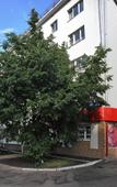 Туры в отель Апартаменты Седьмое Небо Туры в отель Апартаменты Седьмое Небо