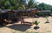 Туры в отель Ravana - Beach Туры в отель Ravana - Beach