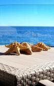 Туры в отель Apartamentos Vegasol Playa A.T. Туры в отель Apartamentos Vegasol Playa A.T.