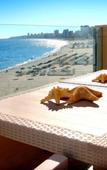 Туры в отель Apartamentos Vegasol Playa A.T. Туры в отель Apartamentos Vegasol Playa A.T.