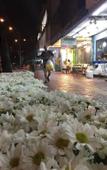Туры в отель Bangkok Hub Hostel Туры в отель Bangkok Hub Hostel