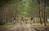 Туры в отель Le Coral Beach Resort and Cafe Туры в отель Le Coral Beach Resort and Cafe