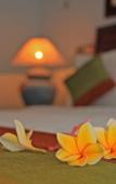 Туры в отель Apel Villa Sanur Туры в отель Apel Villa Sanur