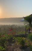 Туры в отель Poh Manis Lembongan Туры в отель Poh Manis Lembongan