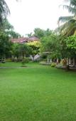 Туры в отель Bougain Villa Туры в отель Bougain Villa