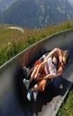 Туры в отель Alphorn Туры в отель Alphorn