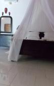 Туры в отель Kayun Bungalow Туры в отель Kayun Bungalow